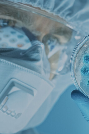 Quality 2000px BlueOverlay